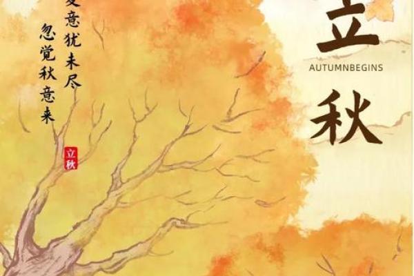 天文现象：立秋与太阳直射点的微妙关系