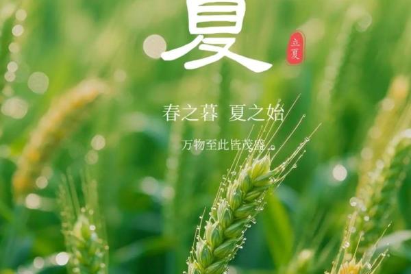 立夏节气，农耕季节的开始，如何安排你的田园生活