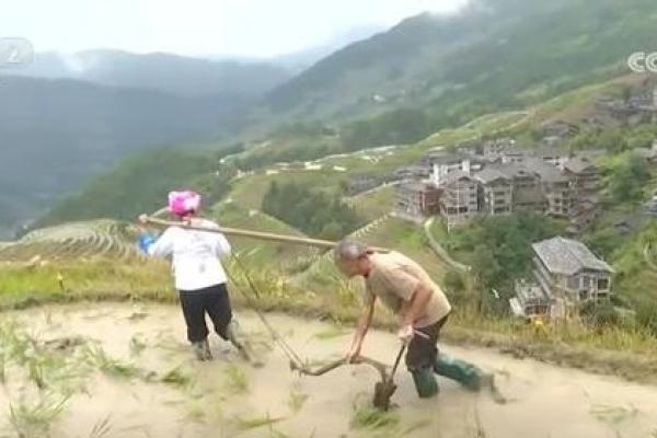 民族节日背后的农耕智慧与传统习俗