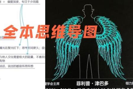 锋字五行反而让你更强大：如何利用性格优势突破自我？