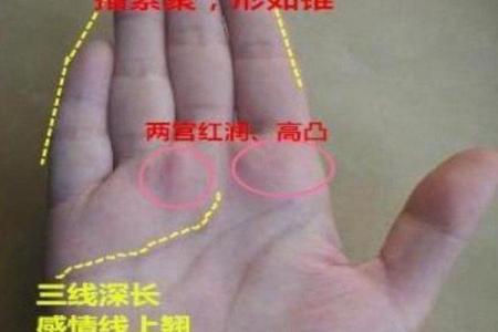 探索焱真命理，如何在命运的暗藏玄机中找到方向