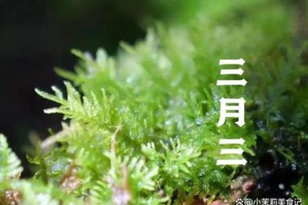 水族“三月三”：天文与农耕的双重象征