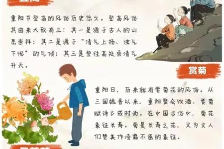 民族传统节日与自然环境的紧密联系