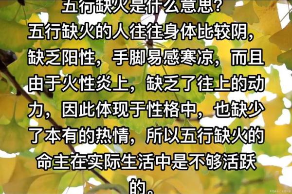 破解92年五行之谜：性格解析中的误区与颠覆性发现