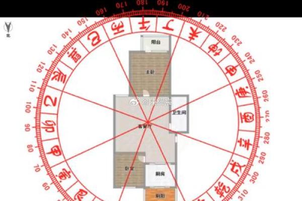 午时出生，你的五行格局如何？深度解析性格特点，改变从现在开始