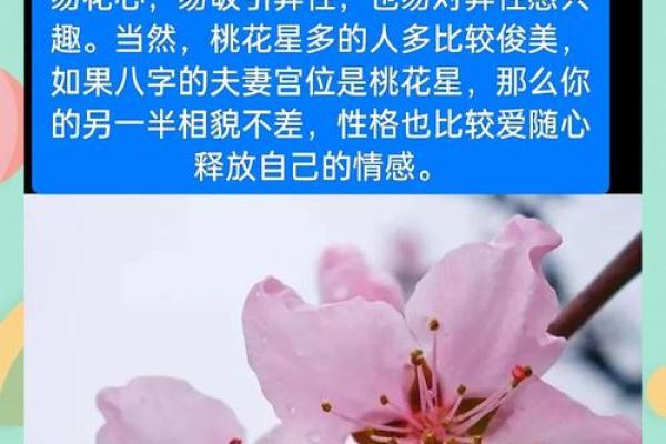 桃花运里藏玄机：五行格局性格解析，揭秘你的内在潜能