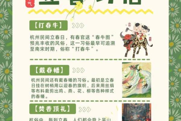 一年四季节日的文化变迁与生活应用