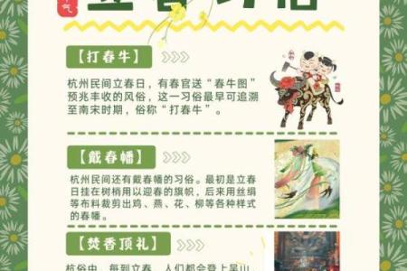 一年四季节日的文化变迁与生活应用