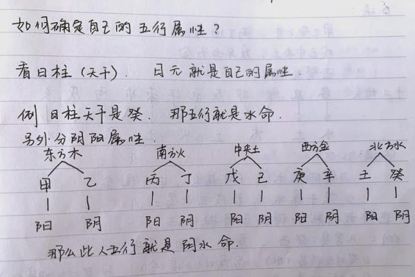知字五行格局颠覆传统观念：性格解析，如何找到最佳人生路径？