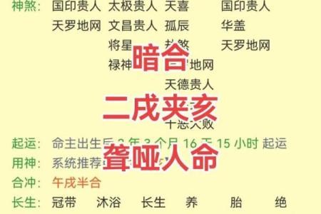 己亥月命理：解锁命运密码，掌握一生的关键