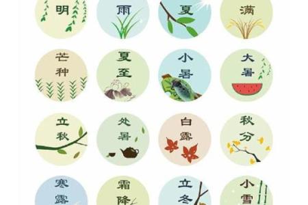 农耕节令：解读中国传统节日的自然节律