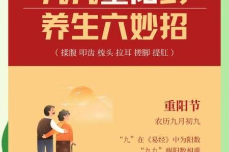 节日里的传统与养生妙招
