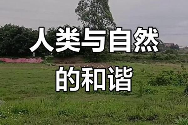 通过西方节日探索人类与自然的和谐共生