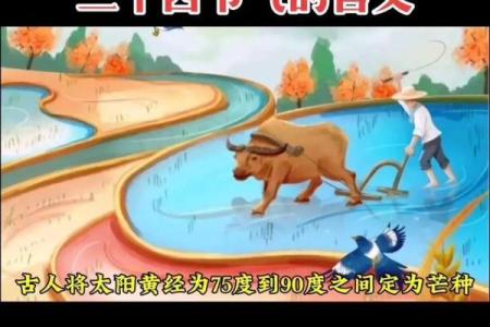 节令与节日：古诗中的天文与气候韵味