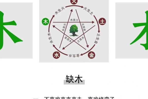 五行格局解析：未字影响下的性格重塑之道