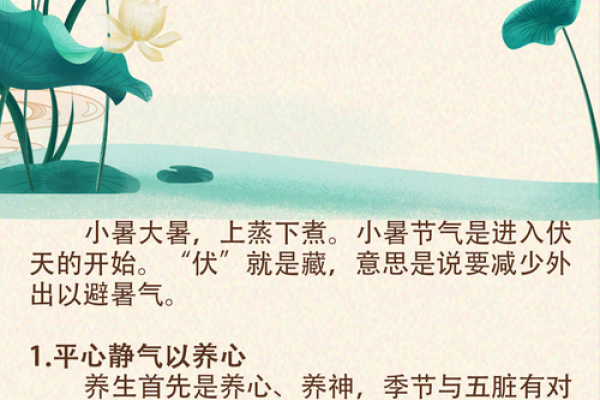 节气与养生：根据季节安排的健康节日生活法则