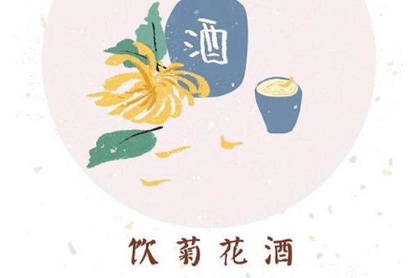 重阳节的健康养生与习俗演变