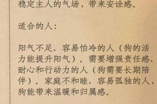 狐狸五行格局大揭秘：如何利用五行改运提升魅力
