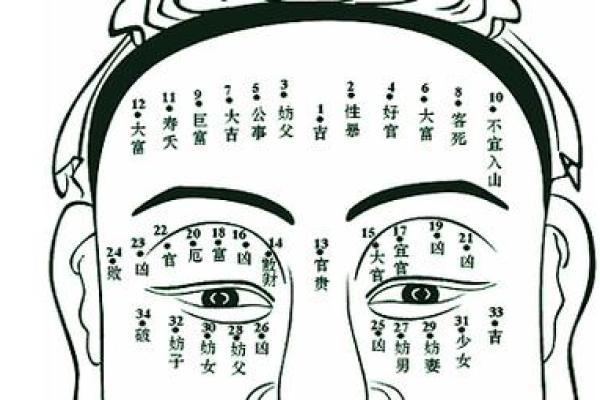 李晨八字命理深度解析：你是否误解了命运的真正玄机