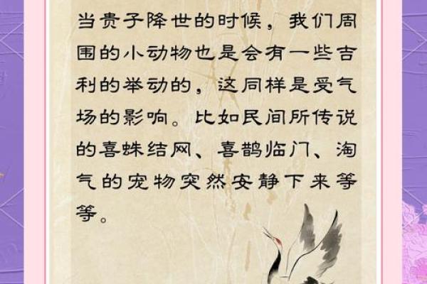 生贵子命理中的暗藏玄机：常见误区，反而让你离贵子更远！