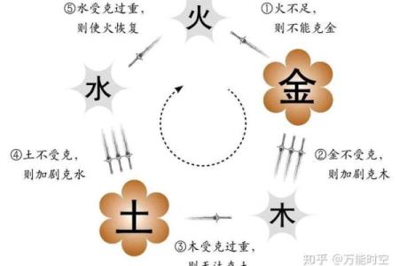 狐狸五行格局大揭秘：如何利用五行改运提升魅力