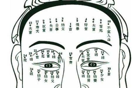 李晨八字命理深度解析：你是否误解了命运的真正玄机