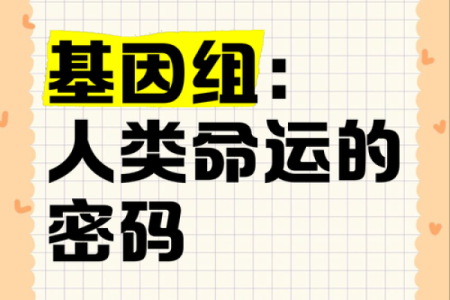 探秘郑秀文命运的玄机：八字中的命运密码如何改变你的人生