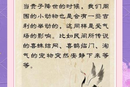 生贵子命理中的暗藏玄机：常见误区，反而让你离贵子更远！