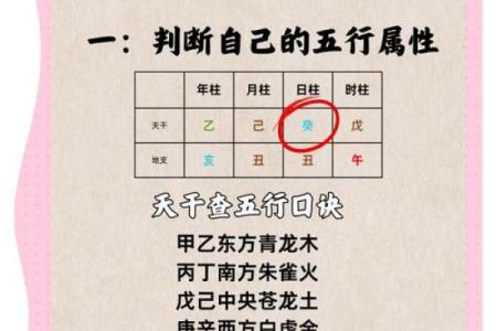 五行格局重塑之路：实用技巧教你如何改善性格缺陷