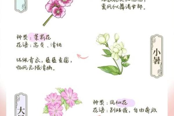 农耕节气如何影响我们的一年四季
