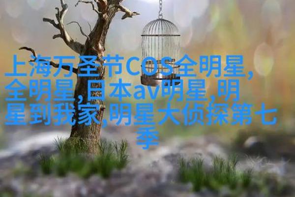 十月文化节庆：如何在秋季传承传统节日习俗