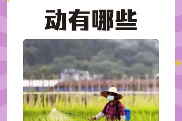 十一月农耕节日：如何根据季节变化调节农事活动