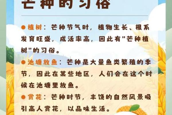 十一月农耕节日：如何根据季节变化调节农事活动