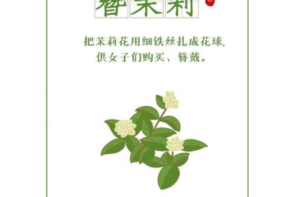 文化小常识：小暑节气的风俗与习惯