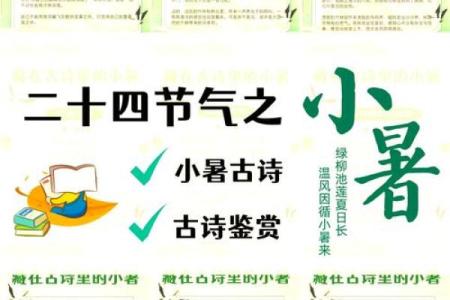 文化小常识：小暑节气的风俗与习惯