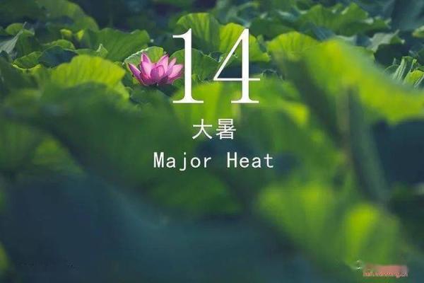 文化与节气交织的时光机
