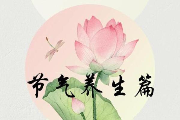 夏至到，如何通过养生保健度过高温季节