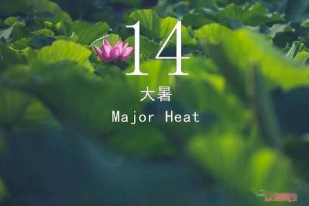 文化与节气交织的时光机