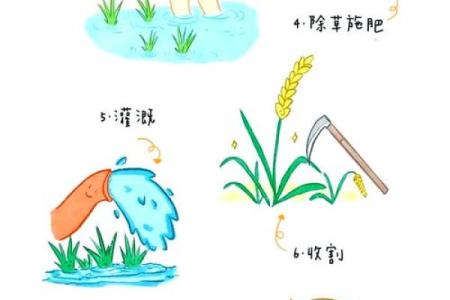 中国传统节日中的农耕智慧与生活美学