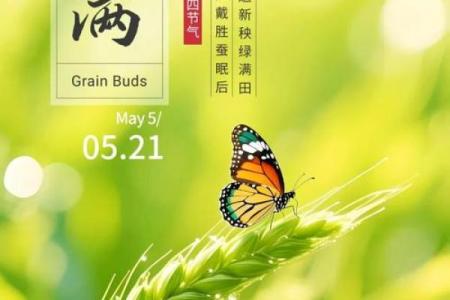 明天是小满，传统节令与现代生活的完美融合