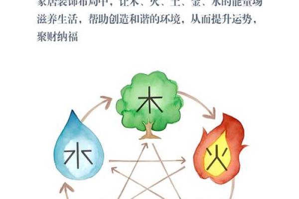 五行格局揭秘：木性之人如何解锁潜能？