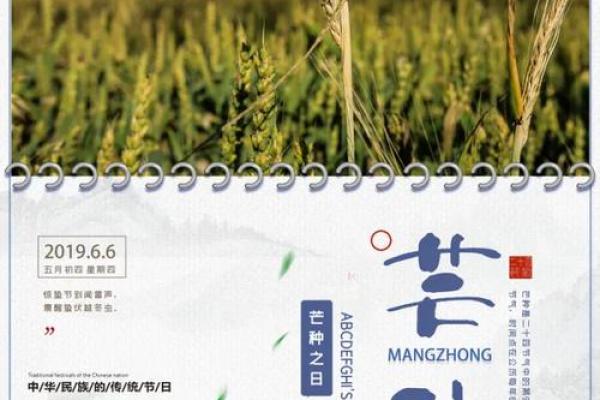 探索丰收的季节与农耕文化的深厚底蕴