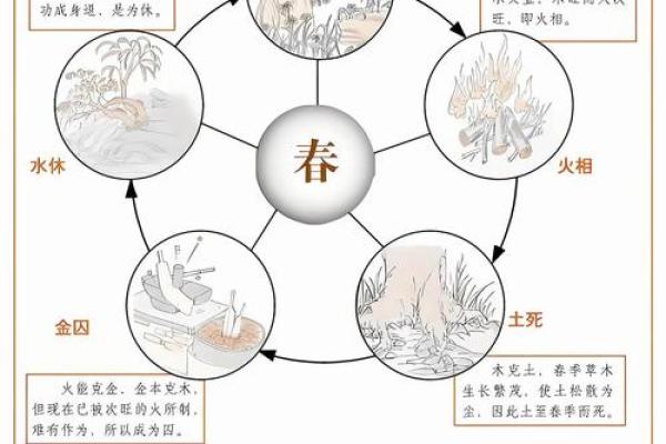 五行格局揭秘：揭秘你的性格密码，如何利用五行格局提升自我