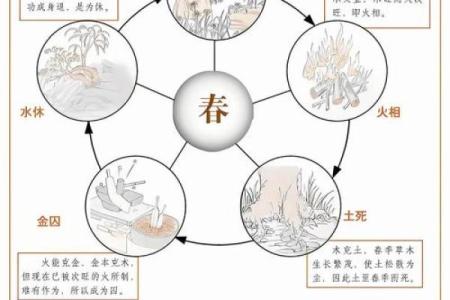 五行格局揭秘：揭秘你的性格密码，如何利用五行格局提升自我