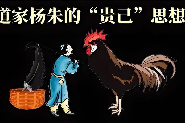 额头白毛背后的暗藏玄机，你可能一直误解了它的含义