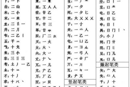 栗字五行误区大揭秘:你真的了解自己的性格吗?