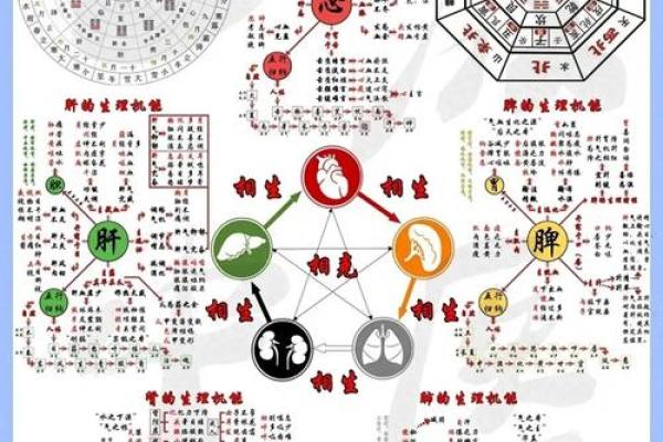 性格解析新视角：月份五行格局中的反常规智慧