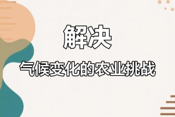 节日里的气候变化与农业生产的联系