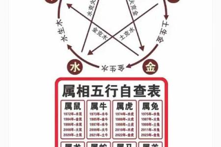 颠覆传统认知：壹之五行格局，揭秘你的真实性格