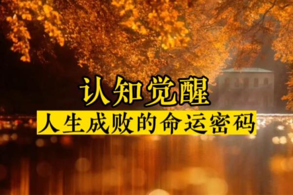 高发际线背后的命运密码，如何突破人生困局